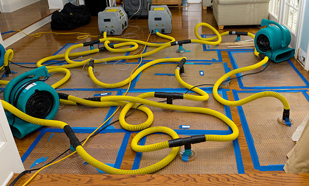 Professional Burst Pipe Water Damage technician working in Fairdale, KY